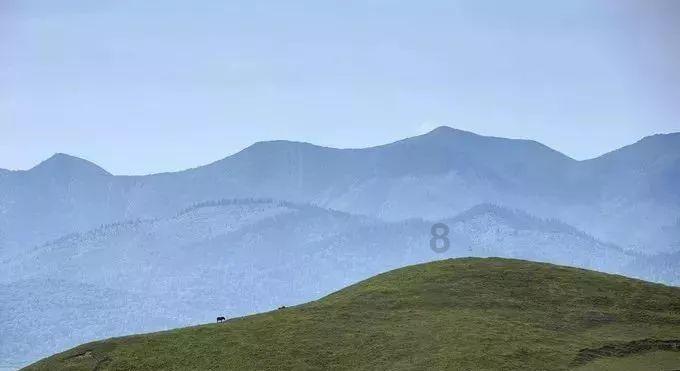 乌苏市德源驾照科二教练有哪些？游戏画面